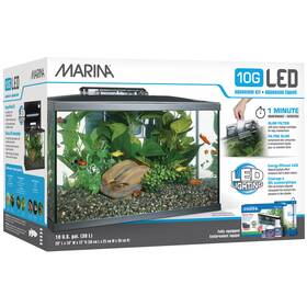 Marina 445049753730 10 Gallon Glass Aquarium Kit With Led Light Filter Food And Care Guide
