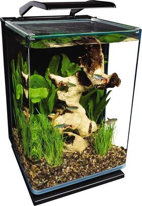 Marineland Ml90609-00 Portrait Glass Led Aquarium Kit 5 Gallons Hidden Filtration Black