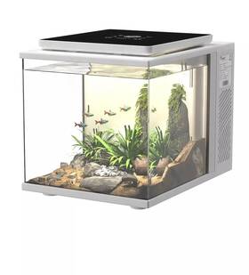 Maxspect 971764811635 Pico Cube Desktop Wi-fi Enabled 2 Gallon Smart Aquarium Kit - Includes Led Li