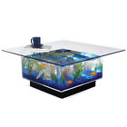 Midwest Tropical Fountain Big Fish Tanks And Aquariums Freshwater Coffee Table Glass Square Shag 612627307273