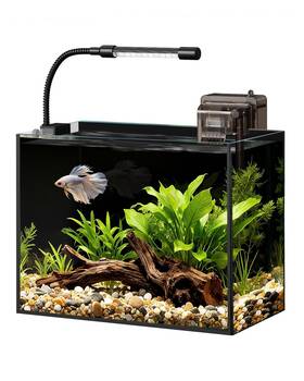 Minilake B0fbrhxtn8 2.5 Gal Glass Betta Fish Tank Aquarium Starter Kit With Filter And Led Light