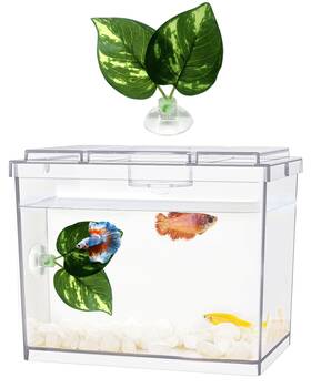 Moonorange Mo-b04-fish Mini Betta Fish Tank Small Bowl For Temporary Space 0.2 Gallon Stackab