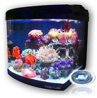 Mt-50-led Jbj Nano Cube 24 Gallon Standard Deluxe Aquarium Live Plant Coral Fish Tank