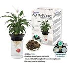 N-a American Paws Pet Products 640791881602