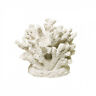 N-a Blue Ribbon Branch Coral Exotic Environments Shipping Is 0030157019198