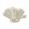 N-a Blue Ribbon Cats Paw Coral Exotic Environments Free 0030157019280
