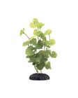 N-a Marina Ecoscaper Hydrocotyle Silk 080605101876