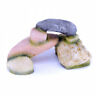 N-a Penn Plax Rock Stack Style Aquarium Huge Saving 0030172062308