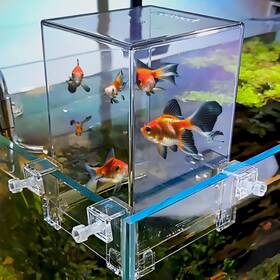 Naiveferry 955490279686 1pc Clear Above Water Fish Tank Aerial Extender Elevator Wate