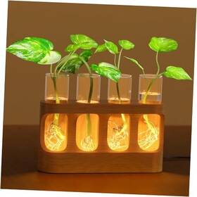 Nantong Babaka Nt002 Plant Propagation Station With Wooden Stand Gardening Gifts For Lovers