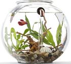 Gravityflow2 Nca-fb Noclean Aquariums Eco-friendly Self-cleaning 688907052232