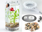 Nca-gfbf-kit Noclean Aquariums Self Cleaning