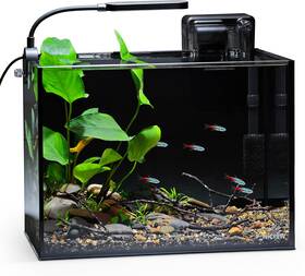 Nicrew 81513 2.5 Gallon Nano Nature Aquarium Kit Ultra-clear Rimless Desktop Fish Tan