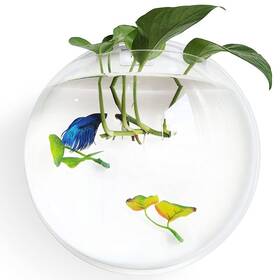 Noodoky 716032917741 Betta Fish Tank Bowl 11.8in Wall Mounted Beta Small Aquarium Hanging P