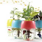 Not Upaqua Aquaponic Fish Bowls 4712304736405