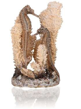 Oase 822728550380 Biorb Seahorses On Coral Sculpture Small Natural