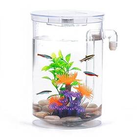 Oltraman 750139775750 Betta Fish Tank 360 Aquarium With Led Light 1 Gallon Bowl Small