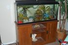 Package Fish 55 Tank Gal Fluval 405 Package Fish 55 Tank Gal Fluval 405