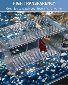 Pawfly 445017550552 Aquarium Fish Breeding Box Acrylic Hatchery Incubator Tank With Suction Cups Med