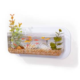 Pcmursal 202521404 Wall Hanging Fish Bowl Mounted Tank Hydroponic Plant Pot
