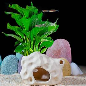 Penck Ao009 Aquarium Betta Fish House Ceramic Coral Small Shrimp Hideout Apricot