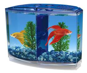 Penn-plax 601400797257 Twin Betta Bow-front Kit For Aquarium Blue Green Tank Is 7.5 Inch Across The Fron