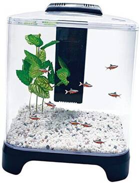 Penn Plax 711181877731 Nuwave Betta Fish Tank Kit With Led Light And Internal Filter Black 1.5 Penn Plax 711181877731 Nuwave Betta Fish Tank Kit With Led Light And Internal Filter Black 1.5