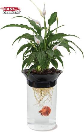 Penn-plax 726084173477 Penn-plax Apon1 Aquaponic Planter And Aquarium For Betta Fish Tank Promotes He