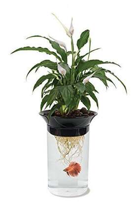 Penn-plax 827165712551 Aquaponic Planter And Aquarium For Betta Fish Tank Promotes Healthy Hydroponi