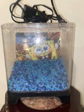 Fds-00 Penn-plax Spongebob Squarepants 1.5 Gal. Aquarium Kit Plastic Tank