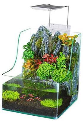 Penn Plax Inc. Pta1 Presents The Aquaterrium Planting Tank - Grow Plants And Fish In One Medium