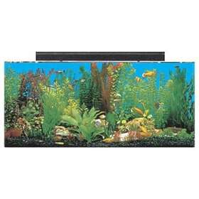 Pet Partners Dba North American Pet X1010015301 30 Gal System Ii Acrylic Aquarium 36 By 12 16 Inch Black