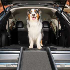 Petsafe 62462 Happy Ride Folding Pet Ramp 62 Inch Portable Lightweight Dog And Cat