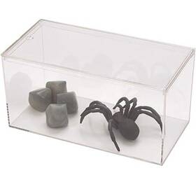 083caqua Pioneer Plastics 645524508320 Clear Micro Habitat Terrarium Tarantula Enclosure
