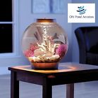 Pl45648 Pl 45643 Reef One 4 Pl45648 Pl 45643 Reef One 4