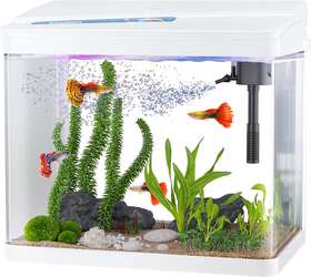 Pondon 445002952965 5 Gallon Fish Tank Betta Glass Aquarium Starter Kit Led Light White