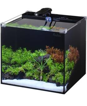 Pondon 445032065086 5 Gallon Fish Tank Low Iron Rimless Glass Aquarium Starter Kit
