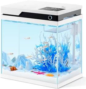 Pondon 744110228465 Beta Fish Tank-4 Gallon Glass Aquarium Starter Kit With Filter Light And Feeder