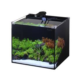 Pondon 752870915969 5 Gallon Fish Tank Low Iron Rimless Glass Aquarium Starter Kits With