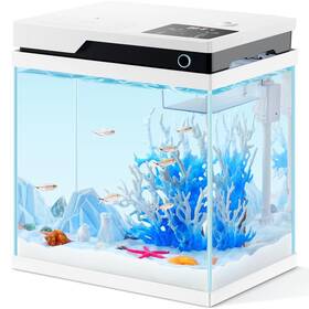 Pondon 764844024300 4 Gallon Smart Fish Tank Glass Betta With Filter And Light Beta