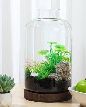 Pondon 768346032153 1.3 Gallon Fish Bowl Vase Glass Plant Terrarium Kit Complete With Wo