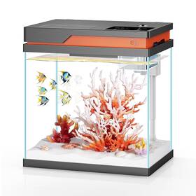 Pondon 768346507057 Fish Tank 4 Gallon Beta Aquarium With Filter And Light Glass Be