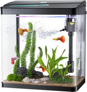 Pondon Pft-003 Fish Tank 3 Gallon Glass Aquarium In 1 With Filter And Ligh
