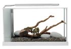 Pt-10518 Fluval Spec V Aquarium 015561105187