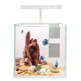 Qanvee Bl-200pg Betta Nemo Fish Tank Small Aquarium Starter Kit With Filter And Light Low Iro