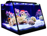 R800205 Lifegard Aquatics Gallon Aquarium With Led Light 788379317409