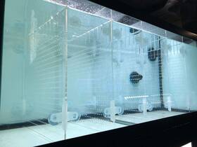 Ra Aquatech B09gv4v2rq Acrylic Aquarium Divider Kit For 5.5-125gal Fish Tank With Suction Cups