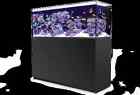Red Sea Reefer 450 Black 730773421411