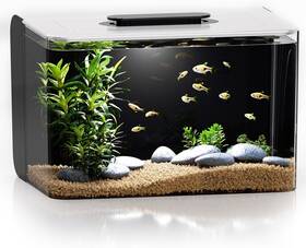 Red Tail Fish 705353182792 Betta Tank 2.5 Gallon Aquarium Kit With Filter Light Self Cleaning New Usa