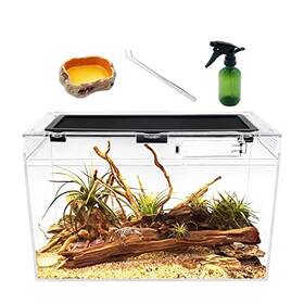 Reptile B09cgy5lqm Terrarium 16 Inch X 8 10 Tank With Full View Visually Appeal